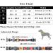 Heele Dog Collar for All Sizes - Adjustable Patterned Dog Collars for Puppies & Large Dogs | Comfortable & Durable Wild Flowers Design (34-53cm 2cm) - Buy Online on GoSupps.com