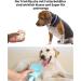 550ml Dog Drinking Bottle & Food Mug - Portable Water Bottle & Bowl for Dogs - Ideal for Travel - Buy Online on GoSupps.com