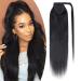16" Wrap Around Ponytail Extension Human Hair #1 Jet Black (80g)