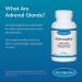 Adrenaplex - 60 Capsules | Adrenal Gland Function Supplement | Supports Healthy Adrenal Function & Balanced Mood - Buy Online on GoSupps.com