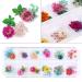KISSBUTY 24 Colors Dry Flowers Nail Art Supplies - 2 Boxes Mini Real Natural Dried Flowers for 3D Nail Decoration - Gypsophila Flowers Daffodil Manicure Sticker - Buy Online on GoSupps.com