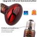 100W Dernord Infrared Red Light Lamp - Heat Lamp for Turtles Toads & Reptiles - 2 Pack - Buy Online on GoSupps.com
