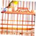 Housoutil 2pcs Set Cage Birds and Wooden Accessory Supplies Shovel Steel Long Parrot for Cleaning Brush Pet 7x9cm Assorted Color - Buy Online on GoSupps.com