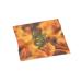 Urban Backwoods Chinese Dragon Microfiber Cloth Glasses Cleaning Cloth