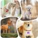 Buy Durable Aluminum Dog Tags & Trailers - 30 Pet ID Tags + 10 Chains for Dogs & Cats - Waterproof & DIY Friendly - Buy Online on GoSupps.com
