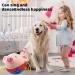 UNNIQ Dog Ball Toy - Active Plush Food Ball for Dogs | Singing Mobile Pet Toy | International Shipping - Buy Online on GoSupps.com