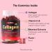 Redimas Collagen Peptide Gummies for Women and Men with Vitamins A C D3 and Biotin 3000mg Collagen Chewable Gummies Convenient Daily Adult Supplement Soft Fruity Gummies 60 Count - Buy Online on GoSupps.com