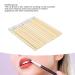 100PCS Disposable Bamboo Handle Lip Brushes - Portable Lipstick Applicators & Gloss Wands for Makeup - Buy Online on GoSupps.com