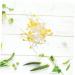 Alipis 200 Pcs Bean Sprouts Toy Bean Sprout Prop Faux Veggies Plastic Models Stress Reliever PVC Fake Food Assorted Color1x4pcs 10X5CMx4pcs - Buy Online on GoSupps.com