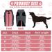 Dog Winter Coat Waterproof Dog Jacket Vest for Medium Large Dogs Warm Pet Coats with Harness Outdoor Puppy Coat Vest Reflective Winter Dog Clothes for Beagle Chenery Dachshund(L/43cm Pink) L/43cm Pink - Buy Online on GoSupps.com