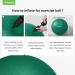 Trideer Exercise Ball for Physical Therapy and Fitness - Green, L (23-26 inches) - Swiss Ball for Rehab, Core Strength, Yoga, Balance, and Flexibility - Buy Online on GoSupps.com