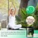 Body Detox Foot Patches 20PCS - Natural Deep Cleansing for Body & Blood Circulation - Buy Online on GoSupps.com