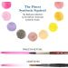 Princeton Neptune Watercolor Brushes 4750 Series - 4pc Soft Synthetic Squirrel Brush Set - Aquarelle Paint Brushes - Round 3/4, 2, 6, 10 - Buy Online on GoSupps.com