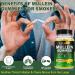 Mullein Gummies for Lungs 2000 MG(50:1 Extract) Mullein Leaf Extract for Lung Cleanse and Respiratory Support Natural Mullein Herbal Supplement Pear Flavor Gummies 60 Count 60 Count (Pack of 1) - Buy Online on GoSupps.com