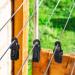 Tarp Clip Crocodile Mouth Multipurpose Secures Clamp with Strong Lock Grip Clamp Trap Clip Camping Clamp Clip Tighten Lock Grip Tent Snap for Outdoor Camping Tent Awning Banner and Cover 20 - Buy Online on GoSupps.com
