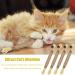 6 Pcs Chew Sticks Cat Toys Cat Teeth Nip Cleaning Chewy Catnip Toys Teeth Grinding Chew toys Natural Kitten Teething Toys Cat Dental Sticks for Indoor Cats Kitty Teeth Cleaning and Stress Release - Buy Online on GoSupps.com