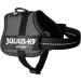 Buy K9 Powerharness 2XS/Baby 2 - Anthracite | Premium Dog Harness for Safe International Shipping - Buy Online on GoSupps.com