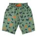 Sterntaler Baby - Boys Swim Shorts Whales Swim Trunks 116 Green