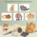 Erkoon 12-Piece Natural Wood Hamster Toy Set - Exercise Bell Rollers & Dental Molar Toys for Chinchillas Rabbits & Guinea Pigs - Buy Online on GoSupps.com
