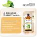 EUQEE Bergamot Essential Oil 118ml Pure Bergamot Oil Aromatherapy Oil Diffuser Oil Natural Essential Oils for Diffusers for Home Humidifier Relax Bergamot 118 ml (Pack of 1) - Buy Online on GoSupps.com