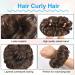 AOMIG Dark Brown Messy Bun Hair Piece Updo Extensions for Women - Curly Wavy Hairpieces Scrunchies - Buy Online on GoSupps.com