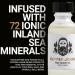 Premium Beard Oil for Men - Castor & Jojoba with Sea Minerals | Softness & Control | Sundance-Citrus Scent | 1 oz - International Shipping - Buy Online on GoSupps.com