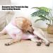 Buy Lianzimau Dogebody Suit: Post-Surgery Protective Clothing for Male Dogs - Tie-Dye Pink Pet Shirt & Wound Divider - Buy Online on GoSupps.com