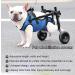 Disability Dog Wheelchair Small Pet Back Leg Wheelchair Adjustable Lightweight Dog Wheelchair Dog Mobility Aid Trolley with Wheels Rehabilitation of The Back Legs of The Dog - Buy Online on GoSupps.com