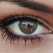 Buy Glamlens New York Dark Gray Contact Lenses | Subtle Colored Lenses | 3-Month Supply | International Shipping - Buy Online on GoSupps.com