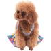 CuteBone Dog Bikini 2-Pack Swimsuit for Small Dogs - Girl Costume Beach & Fruits Theme - Buy Online on GoSupps.com