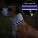 TagME Reflective Nylon Dog Collar - Adjustable Classic Collar with Quick Release Buckle - Small Size, Royal Blue - Buy Online on GoSupps.com