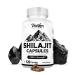 Parker Naturals Pure Himalayan Shilajit Capsules 2000 mg Strength Shilajit Resin and Fulvic Acid Supplement Vegan and Gluten-Free Capsules 120 Count
