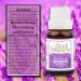 Soul Mantra Lavender Oil - Aromatherapy Essential Oil for Diffusers & Relaxation | 5ml 30ml Options - Buy Online on GoSupps.com