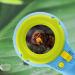 Magnifying Glass with Light - High Clarity Small Lighted - 8X Handheld Magnify Glasses with Observation Box for Close Work Reading Kids Elderly Kids Pochy - Buy Online on GoSupps.com