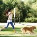 Mystery Hand Free Dog Lead Dog Walking Belt Ajustable Dog Leash Waist Belt Pet Dog Leash Coupler Running and Jogging Lead Belt with Retractable Bungee Reflective Stitching for up 110lbs Dogs - Buy Online on GoSupps.com