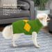 Knitted Winter Dog Sweater Vest | Warm Pet Clothing for Small Dogs & Cats | Cozy Puppy Costume in Green - Buy Online on GoSupps.com