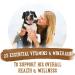 Purina Beneful Prepared Meals Adult Wet Dog Food Variety Pack - 10 oz, Beef - Pack of 12 - Buy Online on GoSupps.com