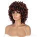 Buy Porsmeer Afro Wig for Women | Large Curly Synthetic Hair Wig | Short Black & Copper-Red Bob for Halloween Cosplay Costume - Buy Online on GoSupps.com