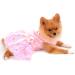 PAIDEFUL Luxury Pet Wedding Dress for Small Dog Girls | Rose Flower Lace Tutu Skirt with Silky Bow | Birthday Party Dog Clothes in Pink - Size XL - Buy Online on GoSupps.com