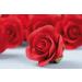 Buy Fine Sugar Roses - 12 Red Pieces (71g) | Perfect for Cakes & Decorations - International Shipping Available - Buy Online on GoSupps.com