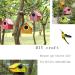 Tfwadmx Wooden Hanging Birdhouse for Garden Decor - Ideal Nest Box for Wren, Swallow, Sparrow, Hummingbird, Finch, Throstle - Buy Online on GoSupps.com