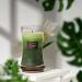 Aroma Naturals 3-Layer Scented Candle 21.52 oz - Balsam & Cedar | 100-Hour Burn Time | Soy Wax | Aromatherapy Candle with Wooden Lid - Buy Online on GoSupps.com