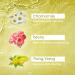 Yardley London Floral Essence Shower Gel - Peony & Ylang Ylang 250ml | International Shipping Available - Buy Online on GoSupps.com