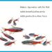 Interpet Bioactive Tapsafe Aquarium Water Dechlorinator 500ml | Fish Tank Conditioner | Fast-Acting & Safe for Fish - Buy Online on GoSupps.com