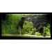 TM Aquatix MANGROVE AQUARIUM WOOD ROOT (x1) - SIZE 15-20cm - (IWAGUMI AQUASCAPING BOGWOOD DRIFTWOOD) - Buy Online on GoSupps.com