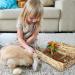 ANCLLO Portable Grass Bed Hand-Made Guinea Pig Grass Bed Play Bed for Chinchillas Rabbits and Other Small Animals - Buy Online on GoSupps.com