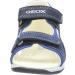 Geox Baby Boys' B Sandal Tapuz C First Steps | Navy Royal | Size 3.5 UK Child | C4226 - Buy Online on GoSupps.com