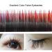 Color Gradient False Eyelashes | Colorful Handmade 10mm Long Natural Look Reusable Eyelashes - Shop Internationally - Buy Online on GoSupps.com