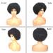 Fannace Afro Curly Wig for Women | Soft Natural Looking High Temperature Fiber Synthetic Afro Puff Wig - Perfect for Daily & Party Use | 1B Black - Buy Online on GoSupps.com