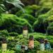 Nature Essential Oils Set ARVIDSSON Natural Fragrance Oil Premium Scented Oils for Diffuser Fresh Cut Grass Forest Pine Ocean Breeze Rain Sandalwood Oakmoss - Buy Online on GoSupps.com